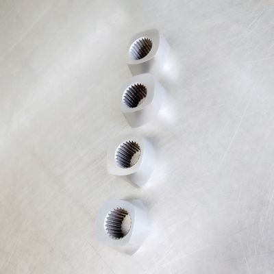 ZSE50 tornillo especial Segement, bloque de amasamiento Φ15.6 - gama del tornillo de Φ430mm